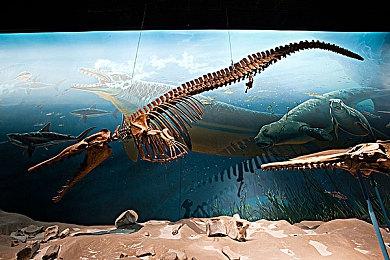 《Deathverse Let It Die》第二部开发者日志分享